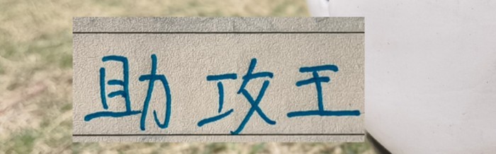 电子游戏平台-官宣！中超助攻榜上海双雄都有球员上榜|上海海港|加布里埃尔·巴尔博扎|上海申花|加布里埃尔-保利斯塔|云南玉昆足球俱乐部_新浪体育_新浪新闻